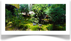Dapacu Wildlife Gallery